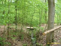 DHW0088.jpg